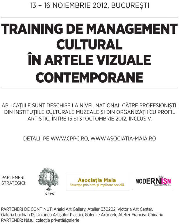 Training: importante informații despre instrumentele și modalitățile de a lucra pe piața privată de artă vizuală din România